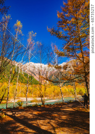 Autumn leaves of Kamikochi [Nagano Prefecture] 68735257