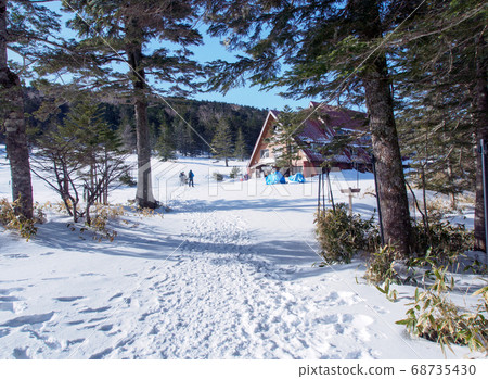 大麥雪草Hutte 大麥雪草Hutte 68735430