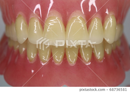 Tooth Tooth 68736581