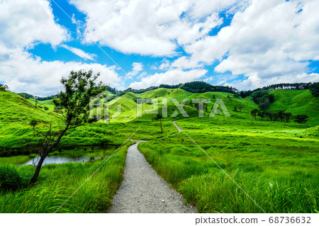 Magnificent green plains under the blue sky 68736632