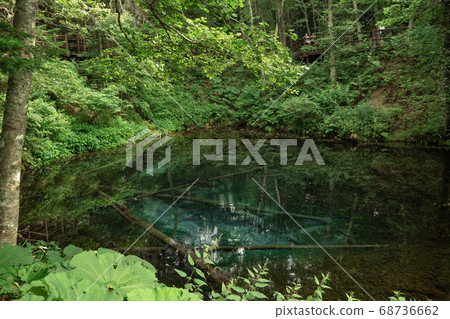 上帝的池塘 上帝的池塘 68736662