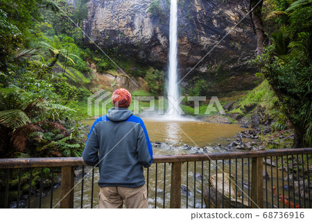 New Zealand waterfall New Zealand waterfall 68736916