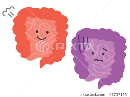Illustration of healthy and unhealthy intestines 68737155