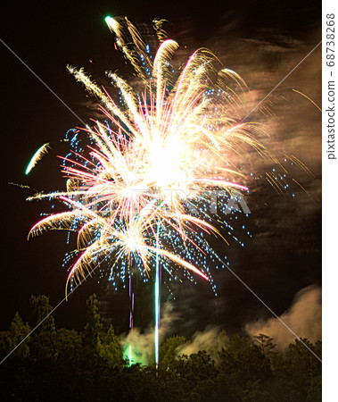 Shiga Agricultural Park Blume no Oka Fireworks Festival 2020/8/13 Shiga Agricultural Park Blume no Oka Fireworks Festival 2020/8/13 68738268