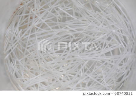 Seeding onion roots to study mitosis cells in Laboratory. 68740831