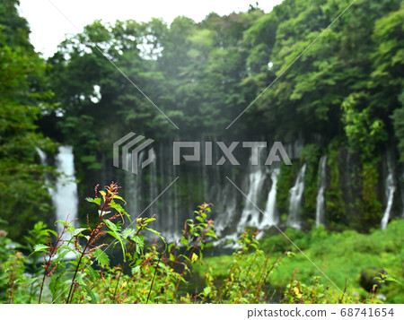Shiraito Falls over the vegetation along the shore where the water splashes and flourishes 68741654
