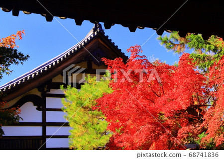 Autumn leaves at Konchiin Nanzenji Tower (Sakyo Ward, Kyoto City) 68741836