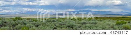 Green wild land with sagebrush plant and mountain in the background next the Lake Crowley 68745547