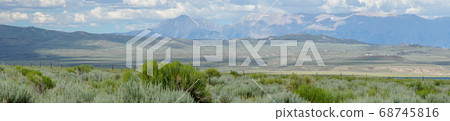 Green wild land with sagebrush plant and mountain in the background next the Lake Crowley 68745816