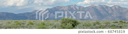 Green wild land with sagebrush plant and mountain in the background next the Lake Crowley 68745819