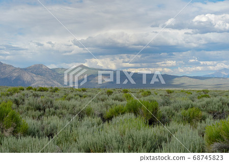 Green wild land with sagebrush plant and mountain in the background next the Lake Crowley 68745823