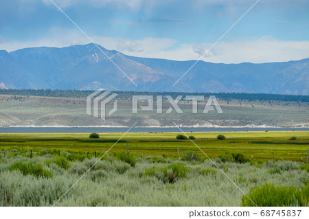 Green wild land with sagebrush plant and mountain in the background next the Lake Crowley 68745837