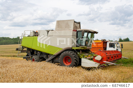 Collecting wheat combine, unloading seeds in truck 68746617