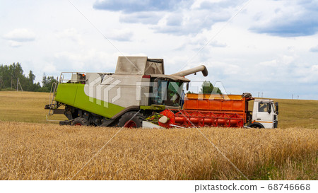 Collecting wheat combine, unloading seeds in truck Collecting wheat combine, unloading seeds in truck 68746668