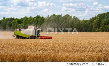 Combine harvester harvests ripe wheat in field Combine harvester harvests ripe wheat in field 68746678