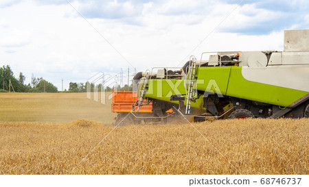 Back of combine harvester and truck on wheat field Back of combine harvester and truck on wheat field 68746737