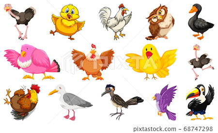 Set of different birds cartoon style isolated on 68747298