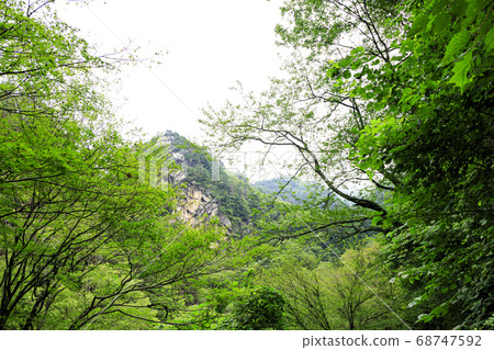 Yamanashi Prefecture's Famous Rocks Shosenkyo Summer (Cloudy) 68747592