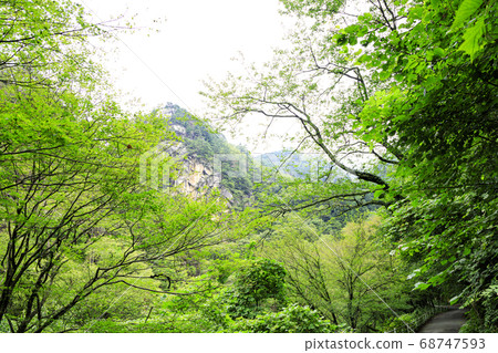 Yamanashi Prefecture's Famous Rocks Shosenkyo Summer (Cloudy) 68747593