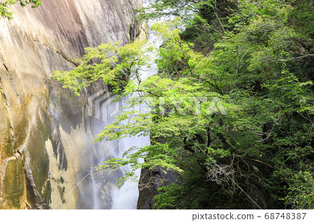 山梨縣著名的岩石松泉峽夏季（多雲） 68748387
