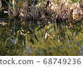 Scenery of Shonai Ryokuchi Park 68749236