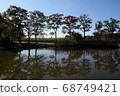 Scenery of Shonai Ryokuchi Park 68749421