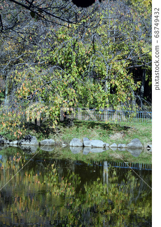 Scenery of Shonai Ryokuchi Park 68749432