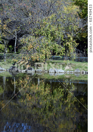 Scenery of Shonai Ryokuchi Park Scenery of Shonai Ryokuchi Park 68749433