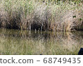 Scenery of Shonai Ryokuchi Park 68749435