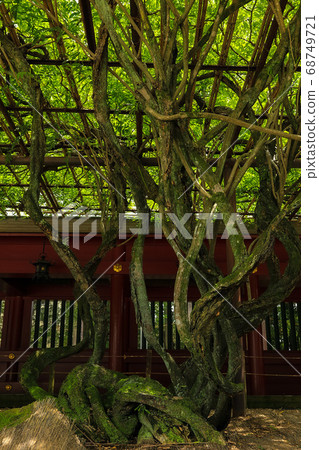笠間稻荷神社 笠間稻荷神社 68749721