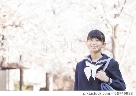 Sakura and girls junior high school students Sakura and girls junior high school students 68749958
