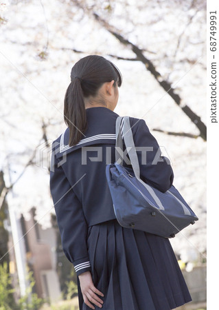 Sakura and girls junior high school students 68749991