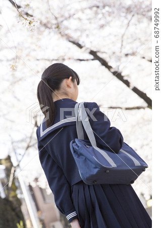 Sakura and girls junior high school students 68749992