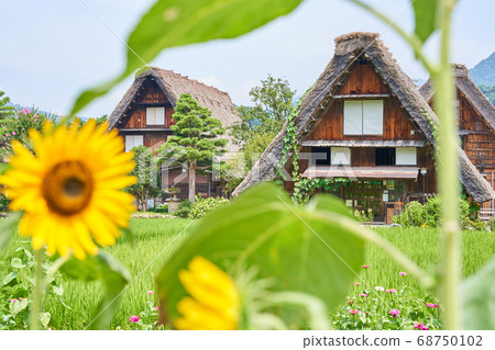 Shirakawago summer Shirakawago summer 68750102