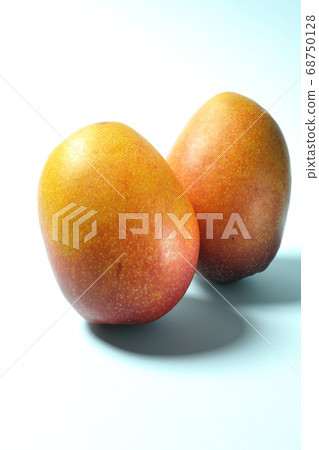 Summer season fruit mango shot on light blue background paper 68750128