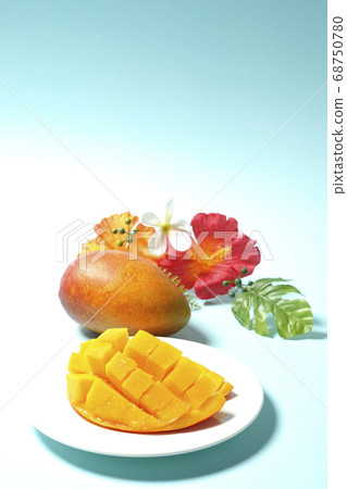 Dice-cut tropical fruit mango and hibiscus artificial flowers 68750780