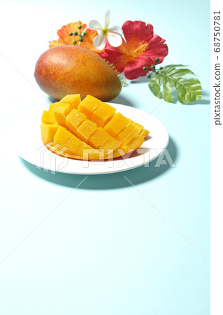 Dice-cut tropical fruit mango and hibiscus artificial flowers 68750781
