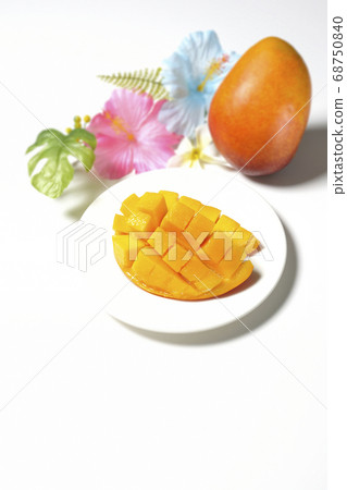 Dice-cut tropical fruit mango and hibiscus artificial flower (white background) 68750840