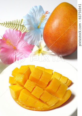 Dice-cut tropical fruit mango and hibiscus artificial flower (white background) 68750841