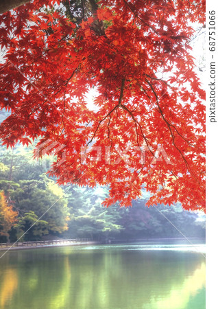 Shuhogahara池水邊的秋景[垂直構圖] 68751066