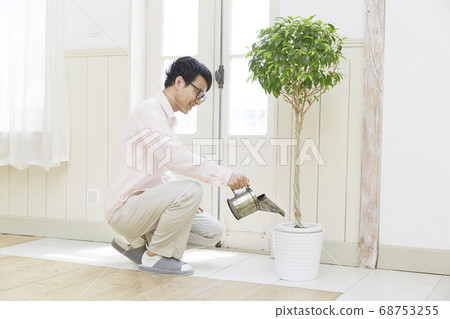 Water up male plants Water up male plants 68753255
