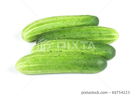 freshly green cucumbers on white background freshly green cucumbers on white background 68754223