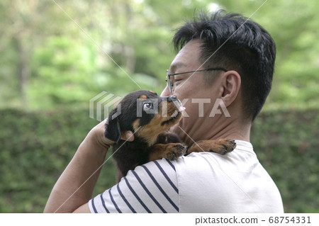 Adult man holding little puppy dog on his shoulder Adult man holding little puppy dog on his shoulder 68754331