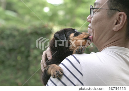 Puppy dog on adult male shoulder Puppy dog on adult male shoulder 68754333