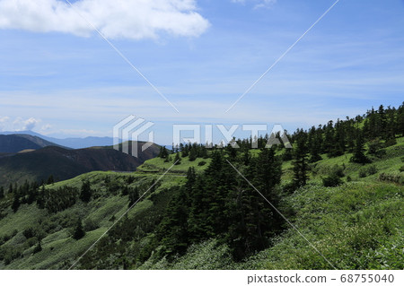 Yoshigei Mire from Shibu-cho 68755040