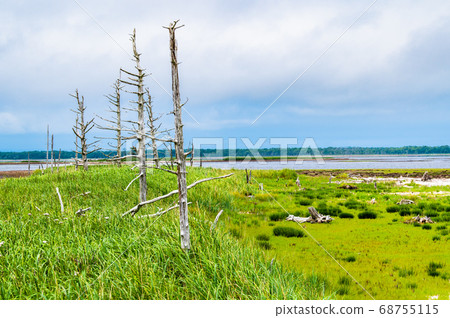 Todoara in the Noken Peninsula, Hokkaido 68755115