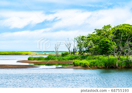 北海道夏木半島夏季納拉瓦拉 北海道夏木半島夏季納拉瓦拉 68755193