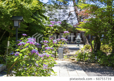 瀨戶的山繡球少女和高hat不動產大日堂 68755739