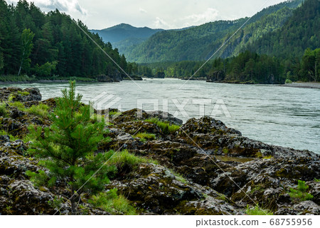 Stormy mountain river flowing along a mountain valley Stormy mountain river flowing along a mountain valley 68755956