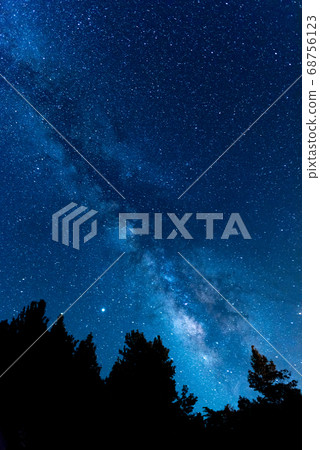 Milky way in summer 68756123